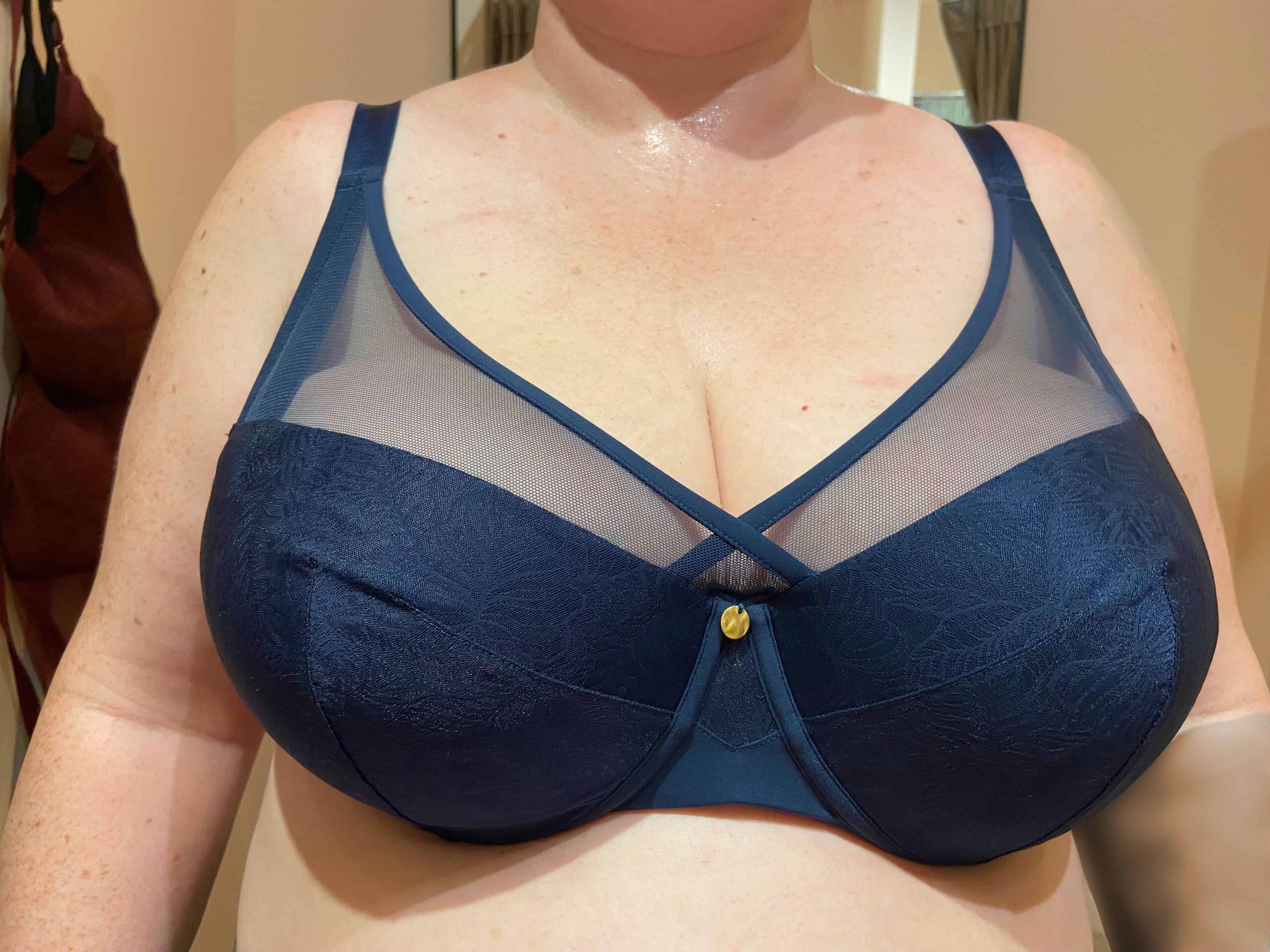 This is Pam in Ivy Smooth Lace in navy wearing 40G. This is the front photo