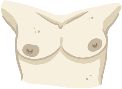 Breast Shapes Desktop Image 05